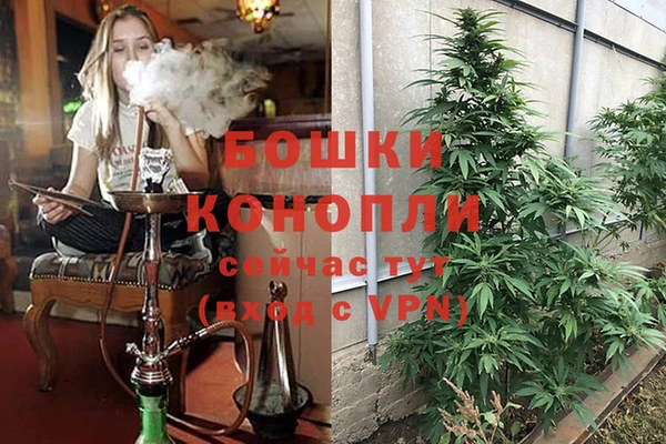 альфа пвп Магас