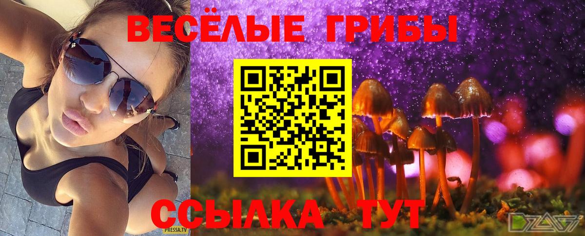 Псилоцибиновые грибы мицелий  Вход с VPN  Усть-Джегута 