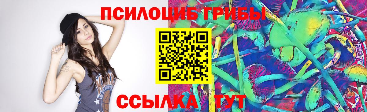 Галлюциногенные грибы MAGIC MUSHROOMS Усть-Джегута