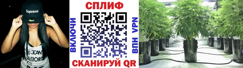 Каннабис SATIVA & INDICA Усть-Джегута